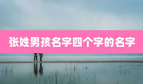 张姓男孩名字四个字的名字