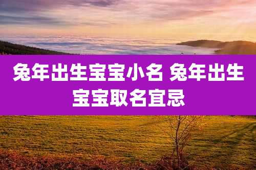 兔年出生宝宝小名 兔年出生宝宝取名宜忌