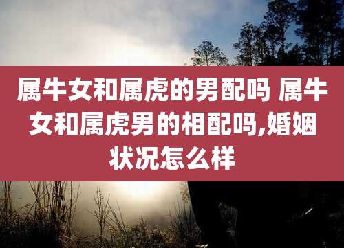 属牛女和属虎的男配吗 属牛女和属虎男的相配吗,婚姻状况怎么样