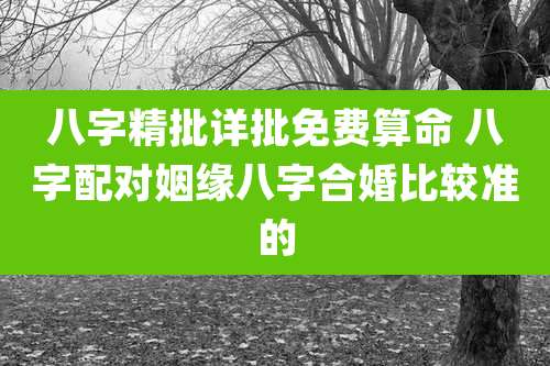 八字精批详批免费算命 八字配对姻缘八字合婚比较准的