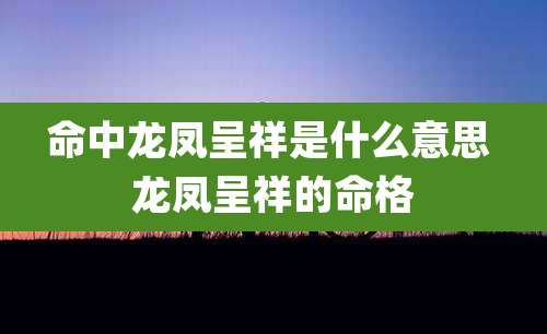 命中龙凤呈祥是什么意思 龙凤呈祥的命格