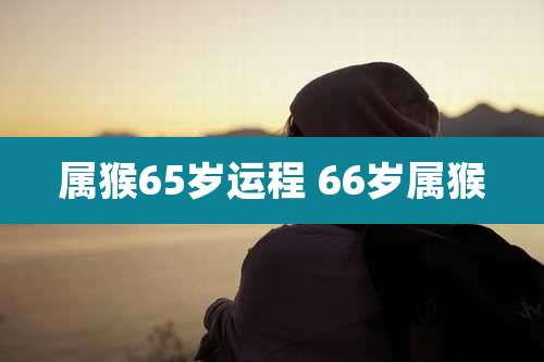 属猴65岁运程 66岁属猴