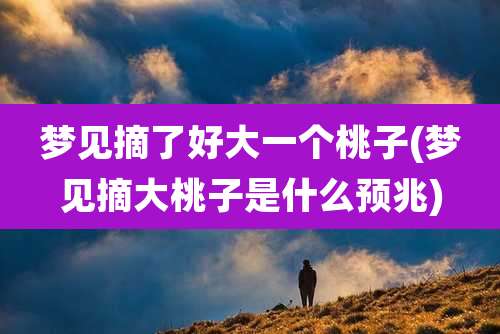 梦见摘了好大一个桃子(梦见摘大桃子是什么预兆)