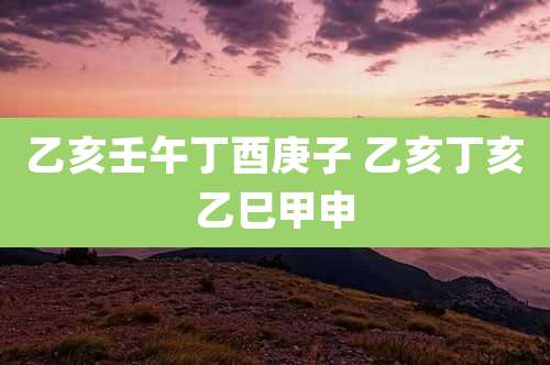 乙亥壬午丁酉庚子 乙亥丁亥乙巳甲申