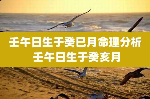 壬午日生于癸巳月命理分析 壬午日生于癸亥月