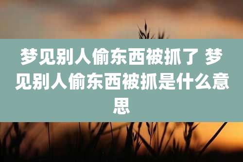 梦见别人偷东西被抓了 梦见别人偷东西被抓是什么意思