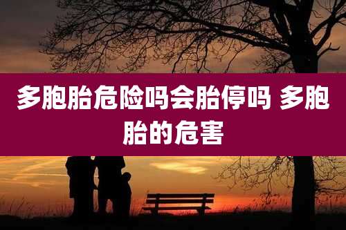 多胞胎危险吗会胎停吗 多胞胎的危害