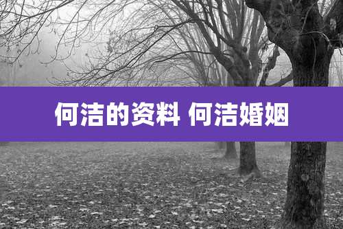 何洁的资料 何洁婚姻