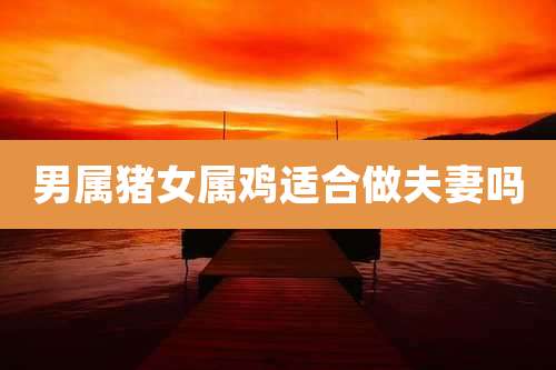 男属猪女属鸡适合做夫妻吗