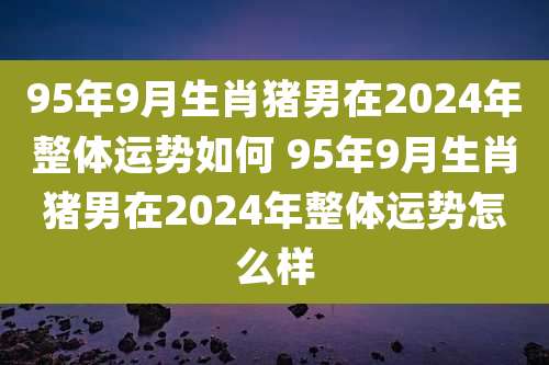 95年9月生肖猪男在2024年整体运势如何 95年9月生肖猪男在2024年整体运势怎么样
