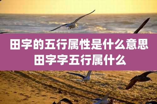 田字的五行属性是什么意思 田字字五行属什么