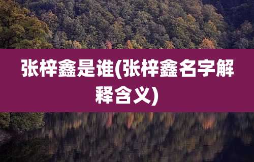 张梓鑫是谁(张梓鑫名字解释含义)