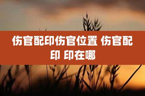 伤官配印伤官位置 伤官配印 印在哪