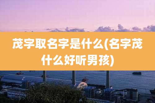 茂字取名字是什么(名字茂什么好听男孩)