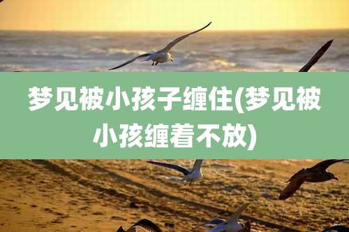 梦见被小孩子缠住(梦见被小孩缠着不放)