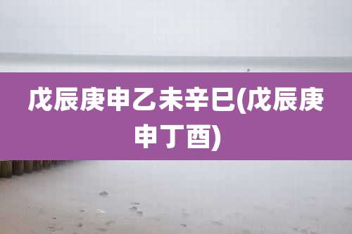 戊辰庚申乙未辛巳(戊辰庚申丁酉)