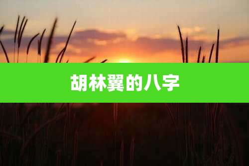 胡林翼的八字