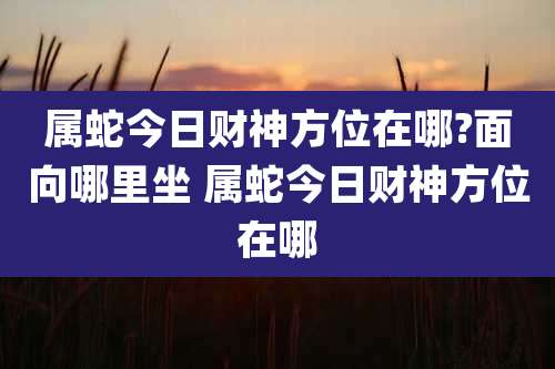 属蛇今日财神方位在哪?面向哪里坐 属蛇今日财神方位在哪