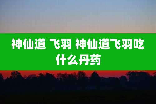 神仙道 飞羽 神仙道飞羽吃什么丹药