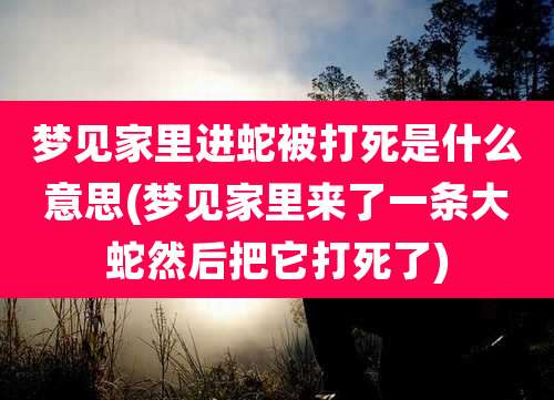 梦见家里进蛇被打死是什么意思(梦见家里来了一条大蛇然后把它打死了)