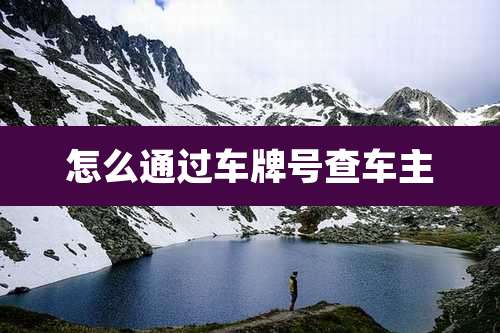 怎么通过车牌号查车主