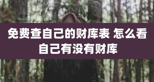 免费查自己的财库表 怎么看自己有没有财库