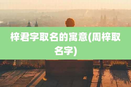 梓君字取名的寓意(周梓取名字)
