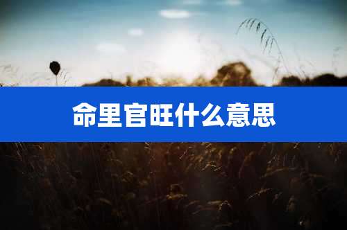 命里官旺什么意思