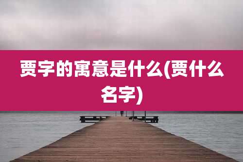 贾字的寓意是什么(贾什么名字)