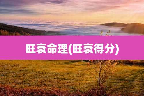 旺衰命理(旺衰得分)