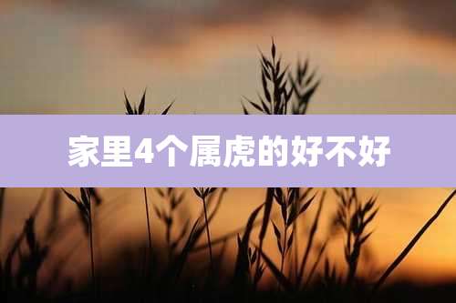 家里4个属虎的好不好