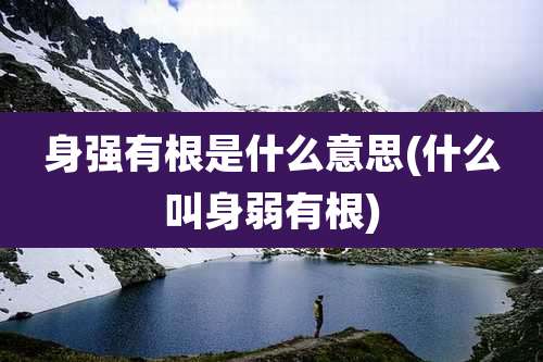 身强有根是什么意思(什么叫身弱有根)