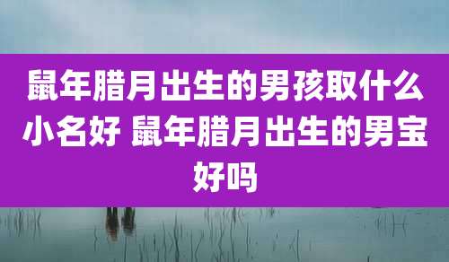 鼠年腊月出生的男孩取什么小名好 鼠年腊月出生的男宝好吗