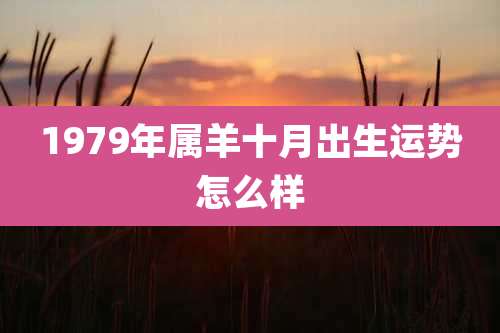 1979年属羊十月出生运势怎么样