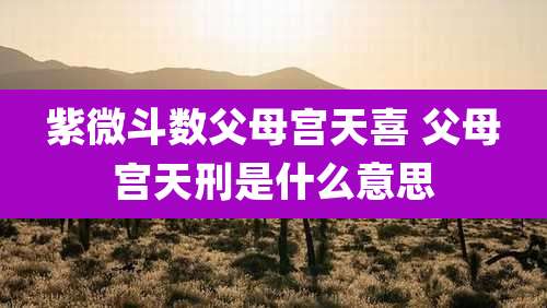 紫微斗数父母宫天喜 父母宫天刑是什么意思