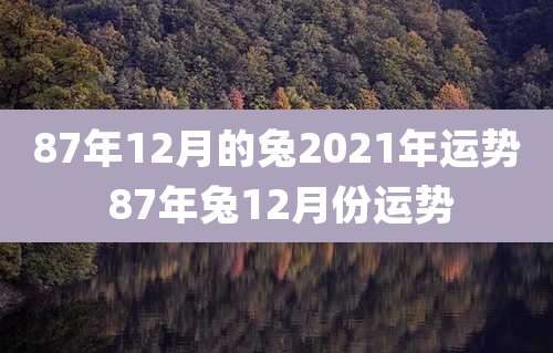 87年12月的兔2021年运势 87年兔12月份运势