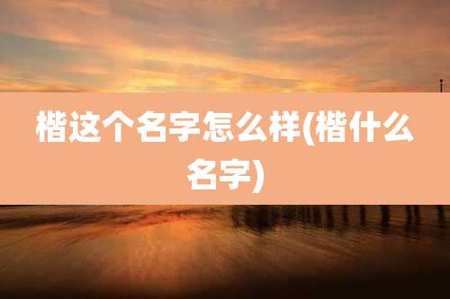 楷这个名字怎么样(楷什么名字)