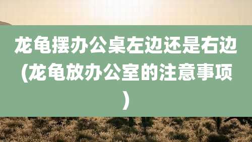 龙龟摆办公桌左边还是右边(龙龟放办公室的注意事项)