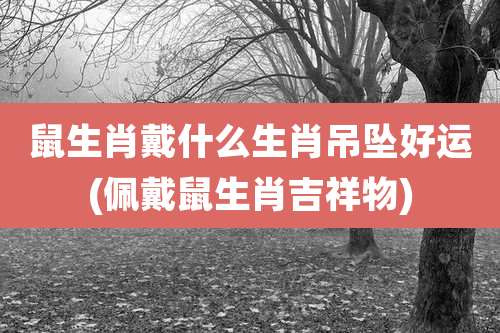 鼠生肖戴什么生肖吊坠好运(佩戴鼠生肖吉祥物)