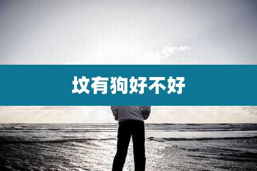 坟有狗好不好