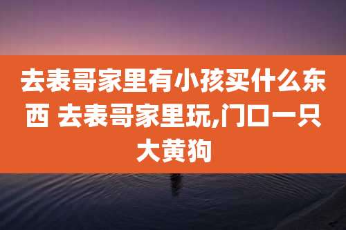 去表哥家里有小孩买什么东西 去表哥家里玩,门口一只大黄狗