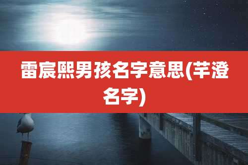 雷宸熙男孩名字意思(芊澄名字)