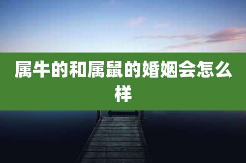 属牛的和属鼠的婚姻会怎么样