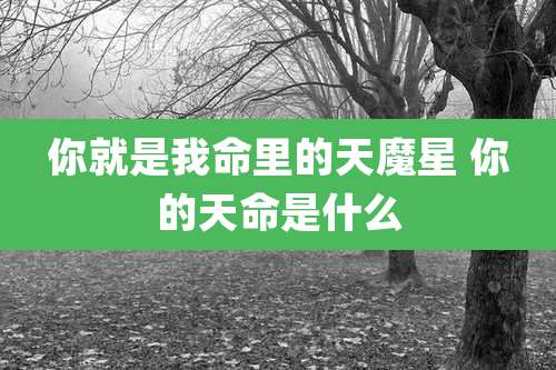 你就是我命里的天魔星 你的天命是什么