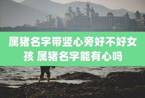 属猪名字带竖心旁好不好女孩 属猪名字能有心吗