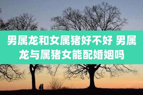 男属龙和女属猪好不好 男属龙与属猪女能配婚姻吗