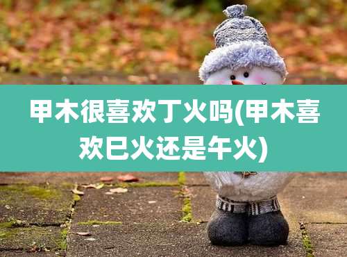 甲木很喜欢丁火吗(甲木喜欢巳火还是午火)