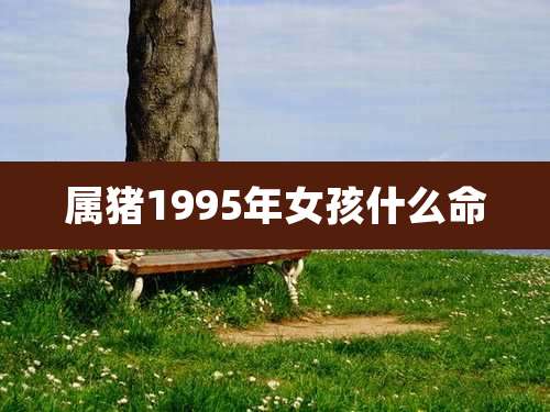 属猪1995年女孩什么命