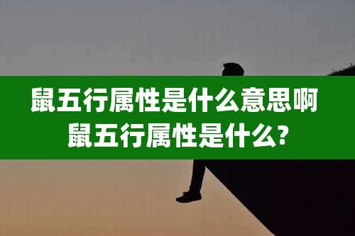 鼠五行属性是什么意思啊 鼠五行属性是什么?