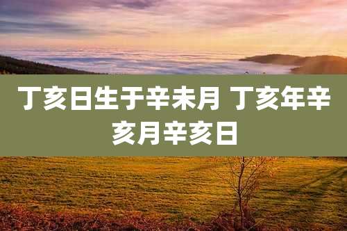 丁亥日生于辛未月 丁亥年辛亥月辛亥日